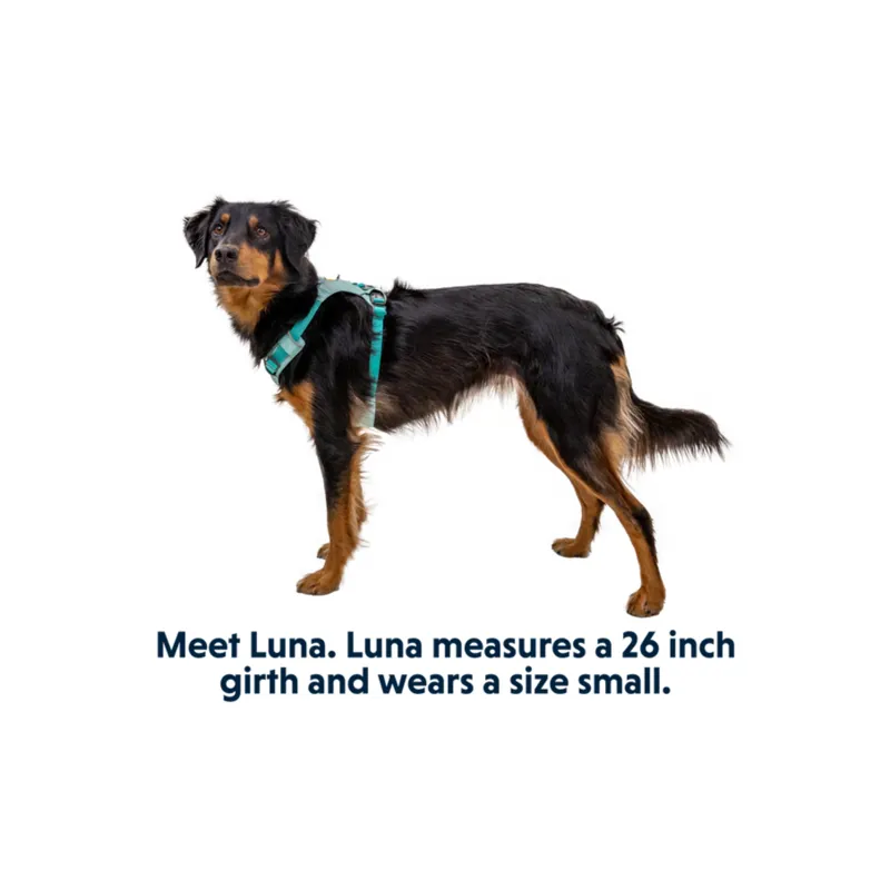 Ruffwear Hi and Light Harness - Sage Green-3